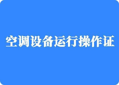 操大黑逼的视频国产另类制冷工证